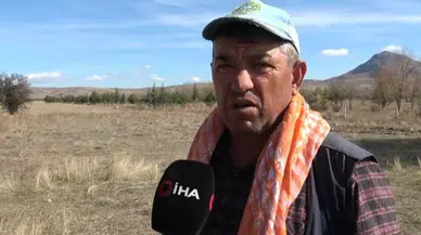 Flamingo Cenneti Karataş Gölü’nde Artık Hayvanlar Otluyor!